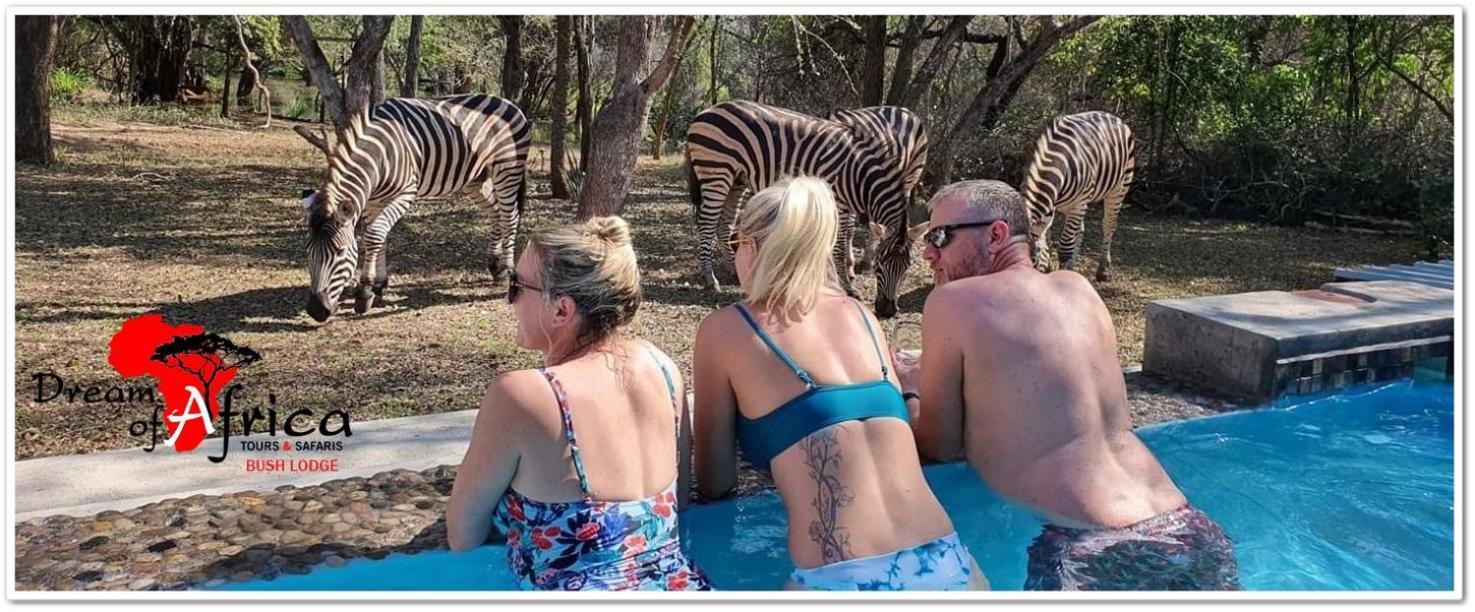 Dream Of Africa Bush Lodge มาร์ลอทพาร์ค ภายนอก รูปภาพ