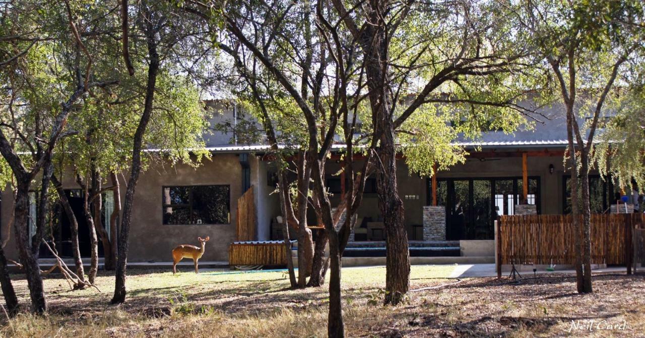 Dream Of Africa Bush Lodge มาร์ลอทพาร์ค ภายนอก รูปภาพ